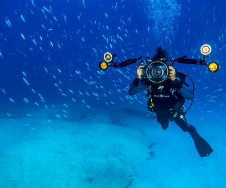 buceo isla de lobos