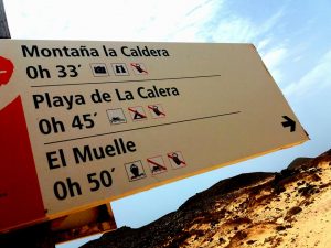 isla de lobos info