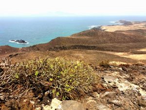 isla-de-lobos
