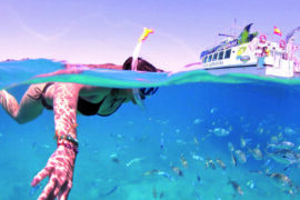 snorkel isla de lobos