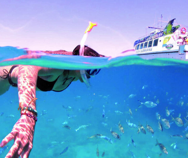 snorkel isla de lobos