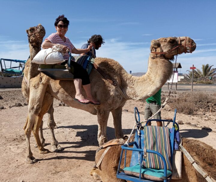 Camello Safari Fuerteventura