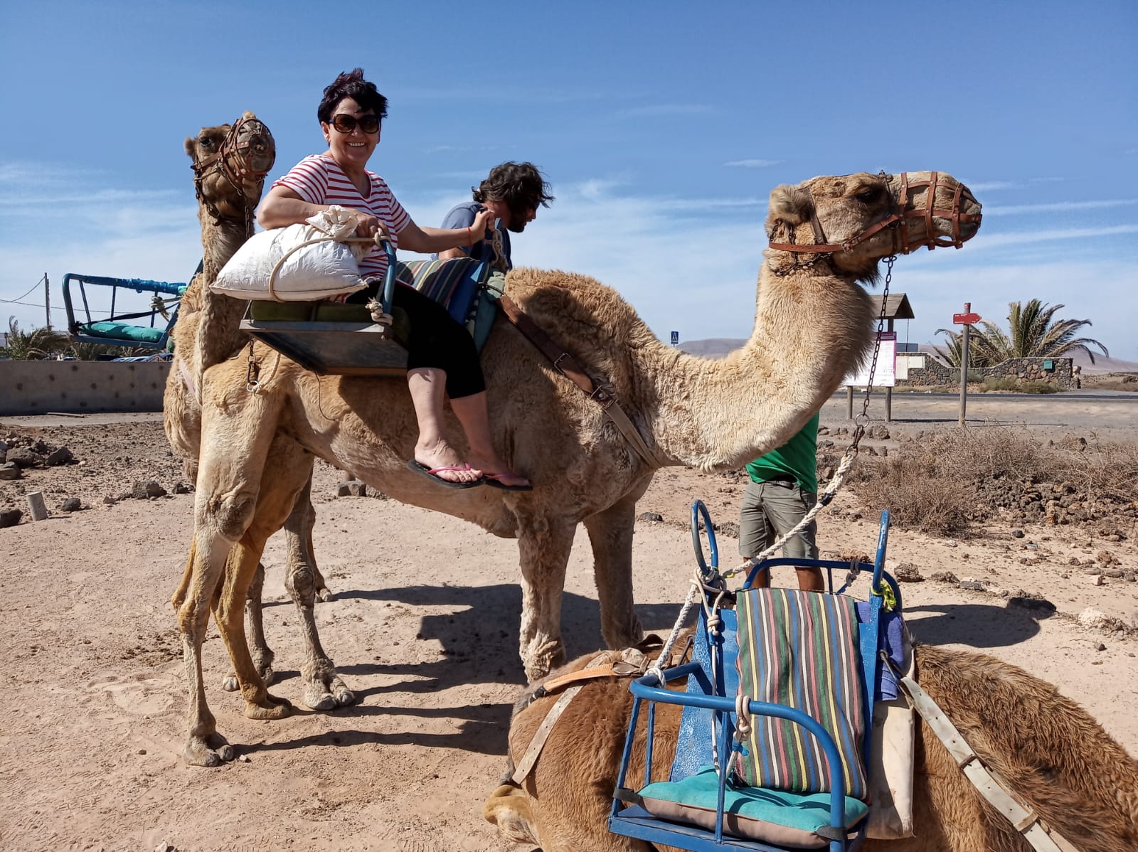 Camello Safari Fuerteventura