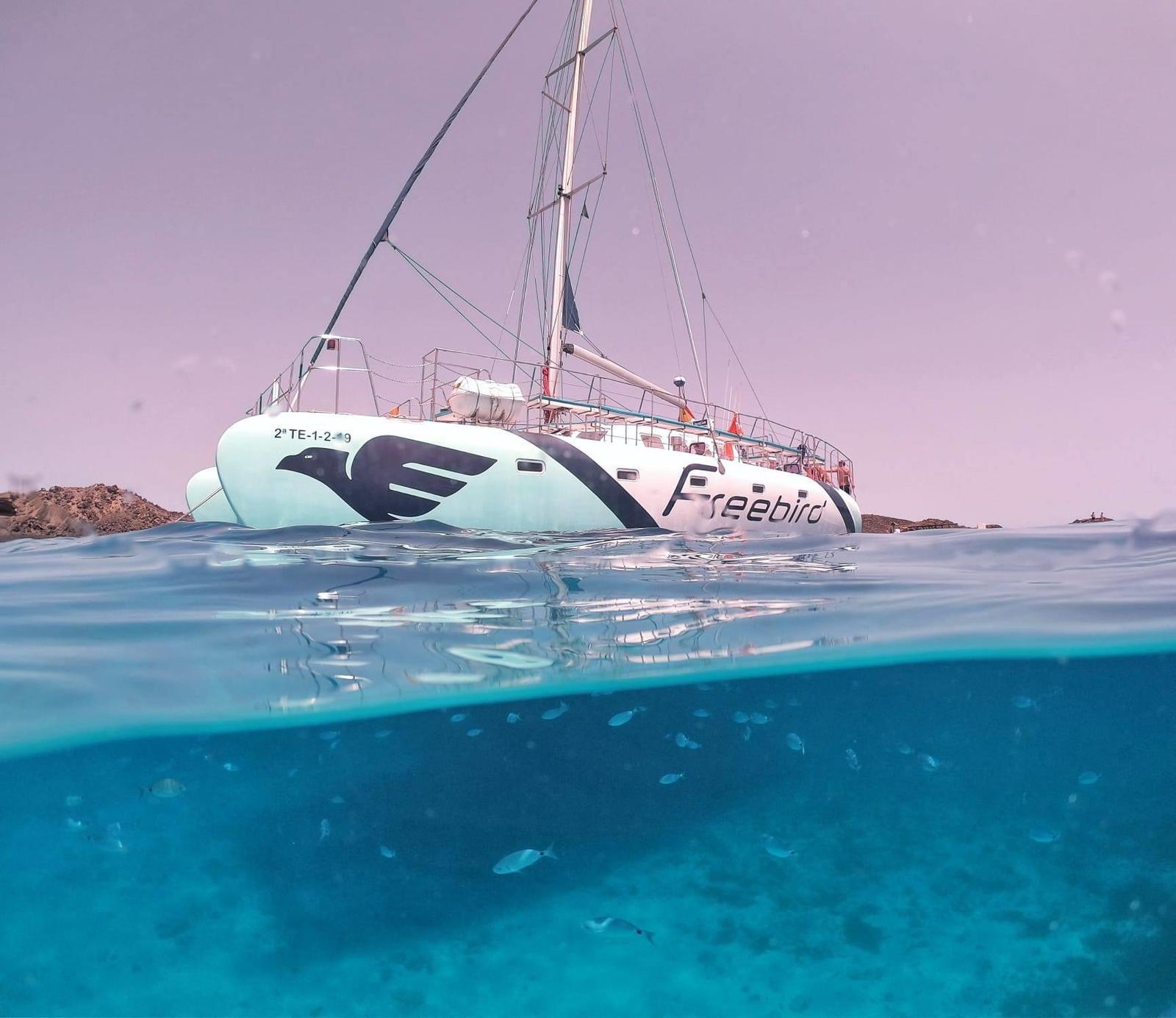 freebird 50 catamaran review